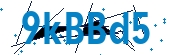 recaptcha
