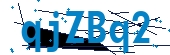 recaptcha