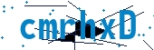 recaptcha