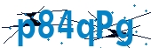 recaptcha